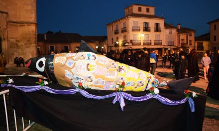 Fotos Entierro Sardina Cisneriana 2017