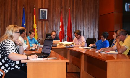 Vídeo Pleno Extraordinario 2 de junio de 2017