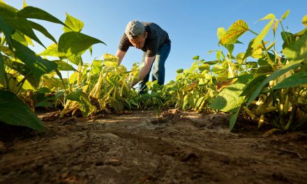 Cursos gratuitos IMIDRA 2018