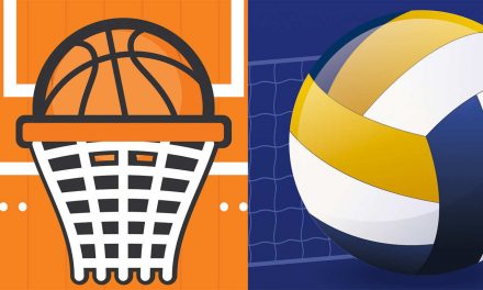 Torneos Baloncesto y Voleibol Fiestas