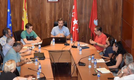 Vídeo Pleno Extraordinario 25 de julio