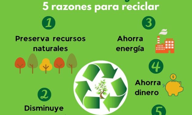 Hoy, 17 de mayo, Día Internacional del Reciclaje
