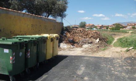 Estado de algunas calles de Torrelaguna después de la poda