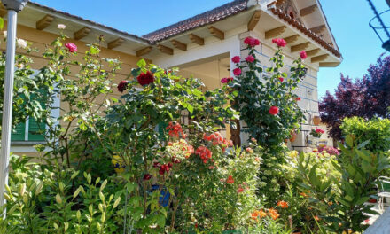 Ganadores del I Concurso de Fachadas, Balcones y Escaparates floridos 2021