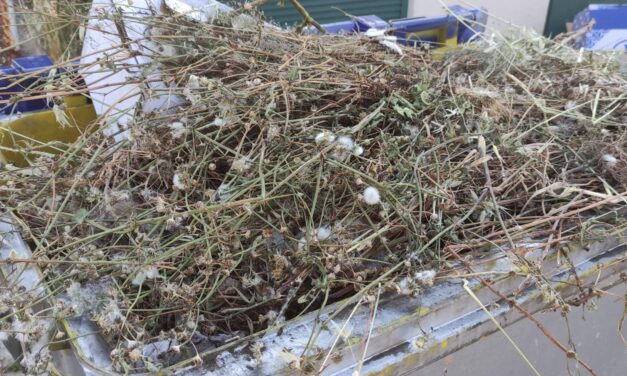 Piensa, planifica y recicla adecuadamente