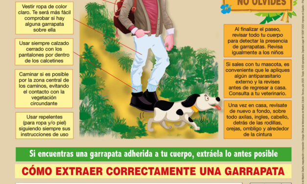 Protégete y evita la picadura de garrapatas