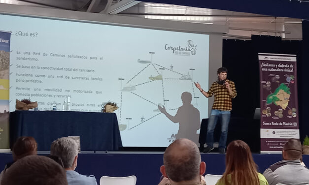 Jornada de Creación de Productos Turísticos “Itinerarios Temáticos” dentro de la Red Carpetania