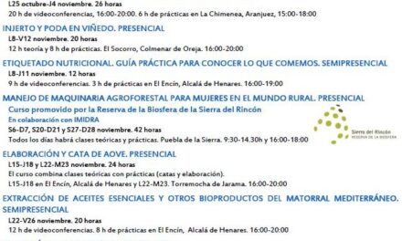 Nueva oferta de cursos IMIDRA