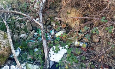 Estos días se han encontrado restos de botellón en un espacio natural como es el entorno de la «Piedra Lisa»