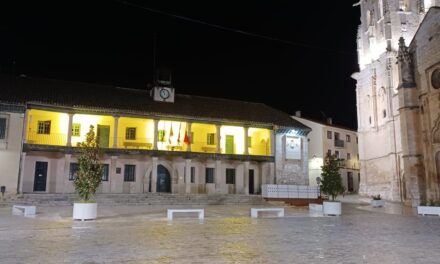 Hoy, 26 de marzo, nos sumamos a la iniciativa de EndoMadrid – Asociación Endometriosis de Madrid