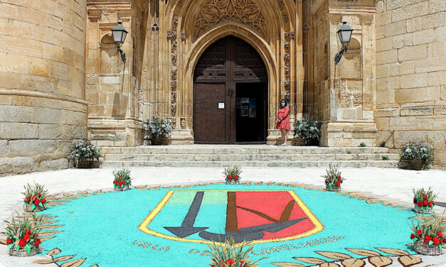 El próximo sábado 28 de mayo la Asociación de Alfombristas de Torrelaguna elaborará una Alfombra Floral a las puertas de la Catedral de la Almudena