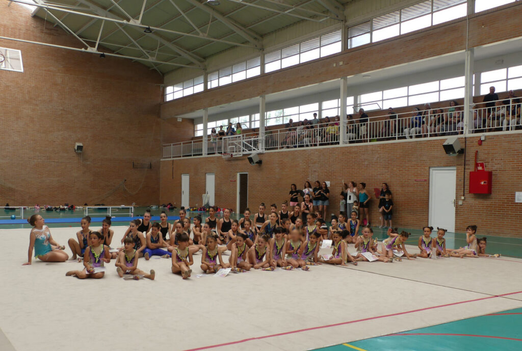 Renovamos la Escuela Municipal de Gimnasia Rítmica - Ayuntamiento de  Torrelodones