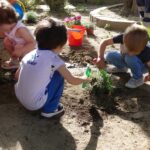 La Escuela Infantil de Torrelaguna extiende su proyecto “Oasis de las Mariposas” por el municipio, mediante la plantación de un nuevo oasis en la Plaza del Coso
