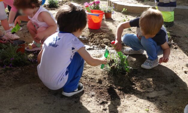 La Escuela Infantil de Torrelaguna extiende su proyecto “Oasis de las Mariposas” por el municipio, mediante la plantación de un nuevo oasis en la Plaza del Coso