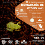 Biomaratón de otoño 2022