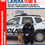 Exhibición de la Unidad de Guías Caninos de Policía Local de Torrelaguna