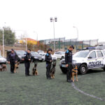Exhibición canina de Policía local