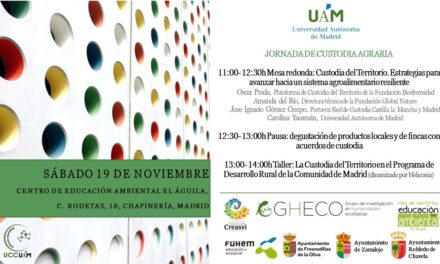 Encuentro IMIDRA