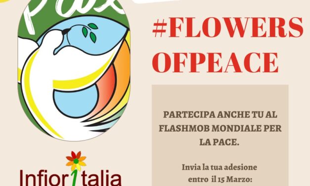 Asociación de Alfombristas de Torrelaguna participan en el FLOWERSOFPEACE’2023