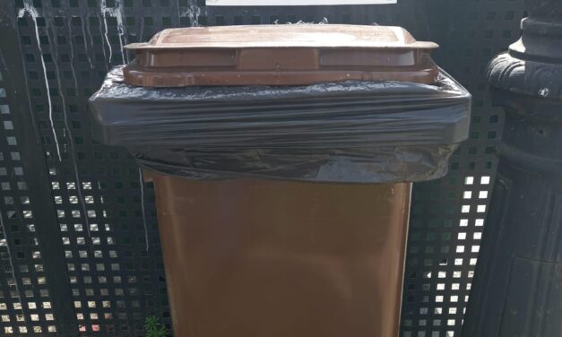 Implantación del 5º contenedor de residuo orgánico, contenedor marrón