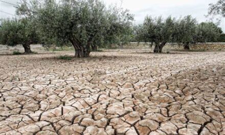 Exención del IBI en 2023 para fincas rústicas