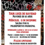 Tour luces de Navidad en Madrid