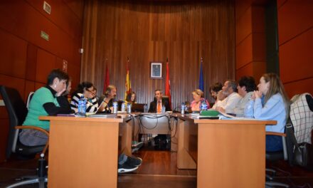 Vídeo del Pleno Ordinario del  31 de enero de 2024