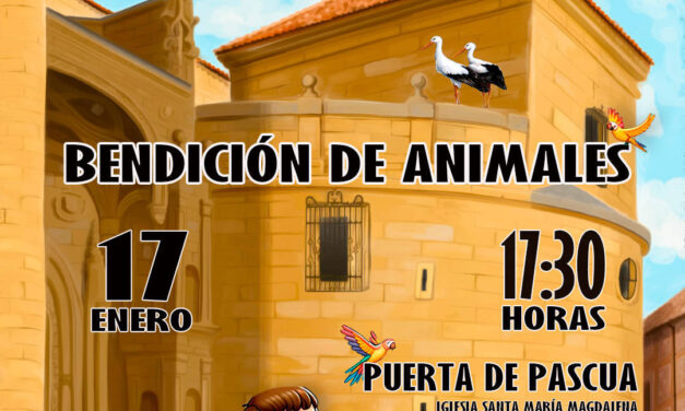 Bendición de Animales Torrelaguna 2024