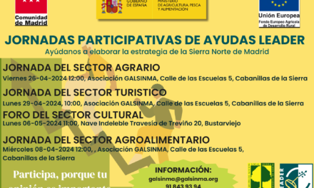 Jornadas Participativas de Galsinma