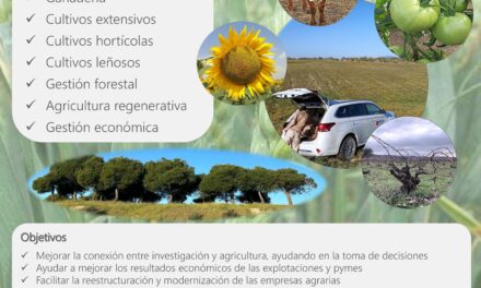 Servicio gratuito de asesoramiento de IMIDRA