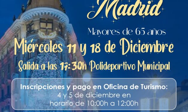 Excursiones para ver las luces de Navidad de Madrid