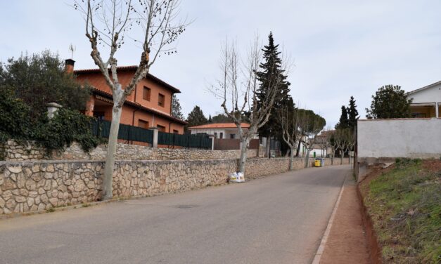Arranca la campaña de poda arbórea de Torrelaguna