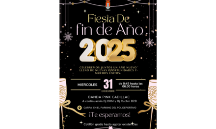 ✨🎉 FIESTA DE FIN DE AÑO 2025 🎉✨